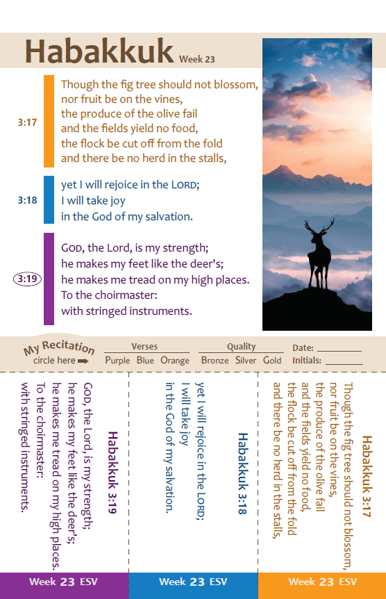 SwordGrip: Proverbs to Malachi