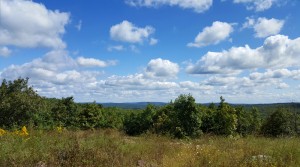 Taum Sauk Mountain