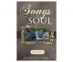 Songs of the Soul, Vol. 2