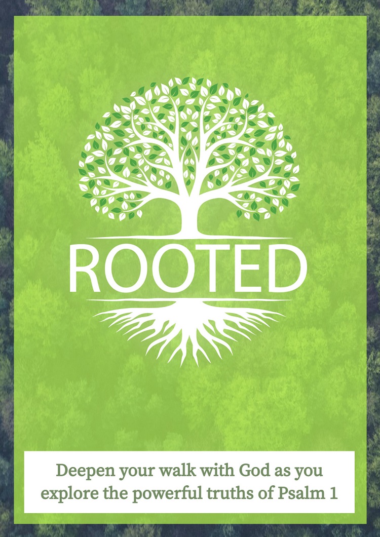 Another Term For Rooted